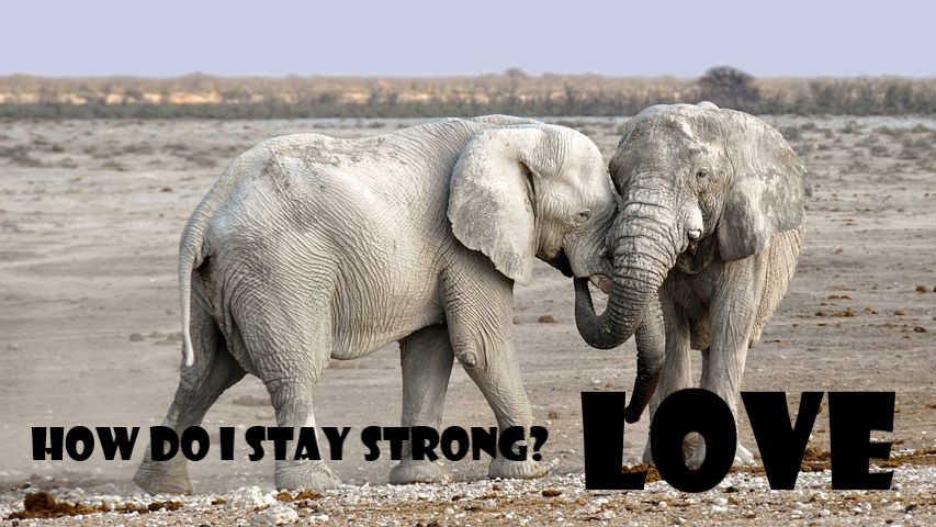 How do I stay strong? LOVE